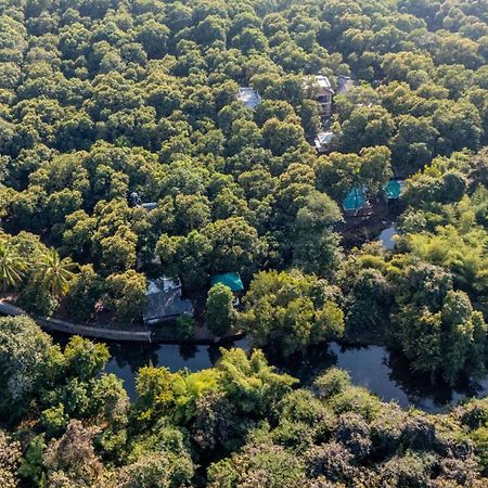 Brook Ville Sasan Gir Εξωτερικό φωτογραφία