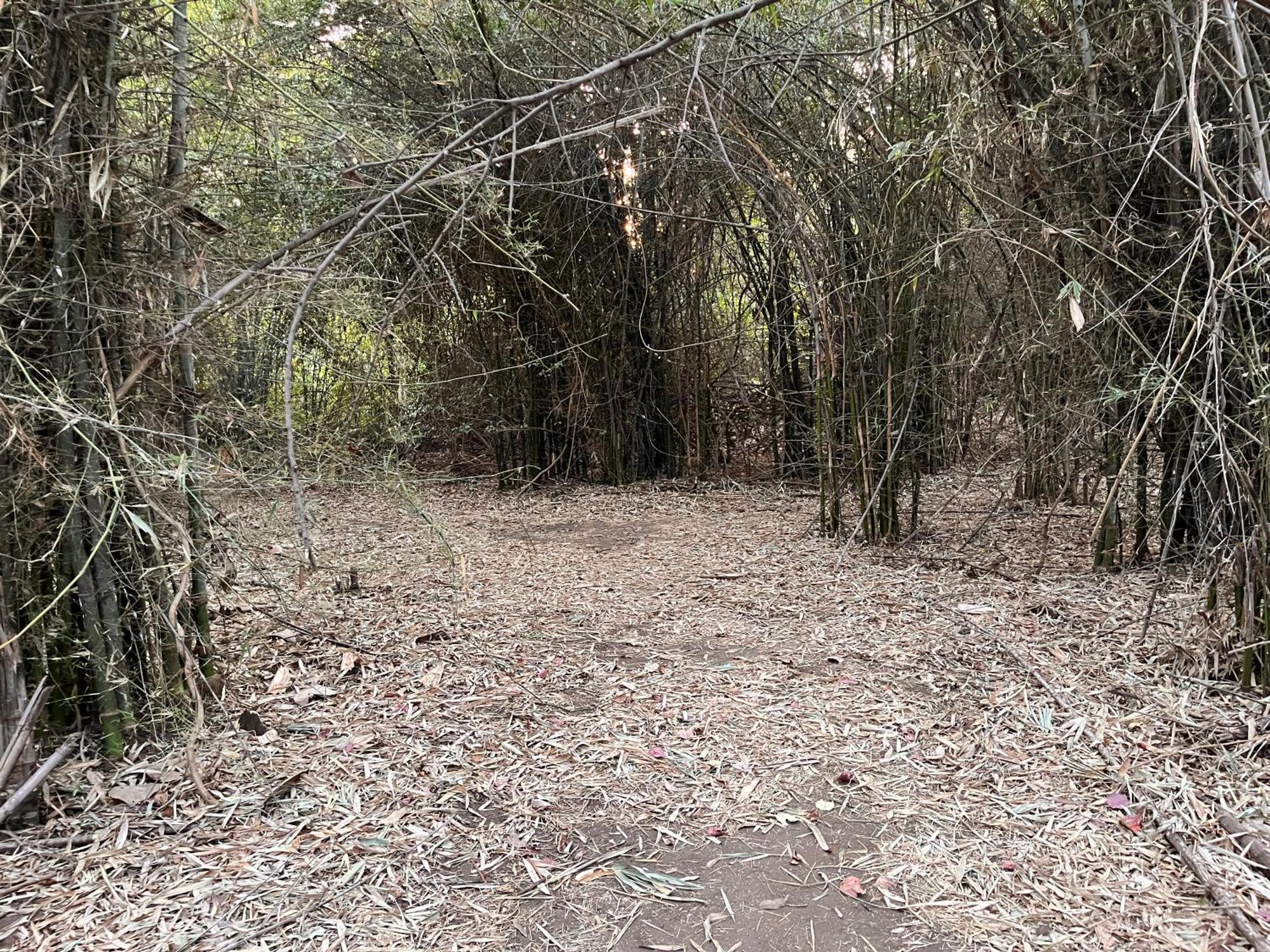 Brook Ville Sasan Gir Εξωτερικό φωτογραφία