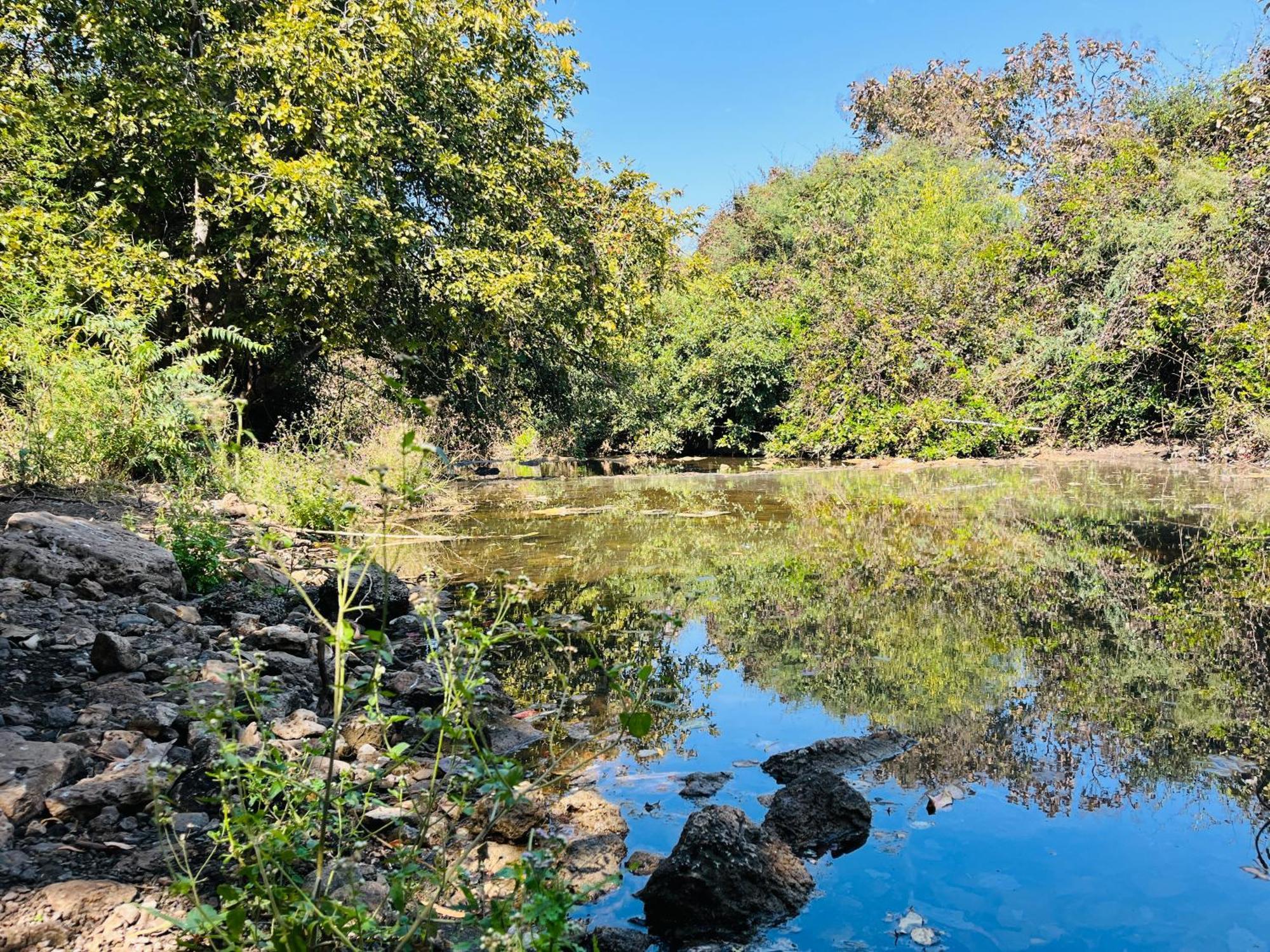 Brook Ville Sasan Gir Εξωτερικό φωτογραφία