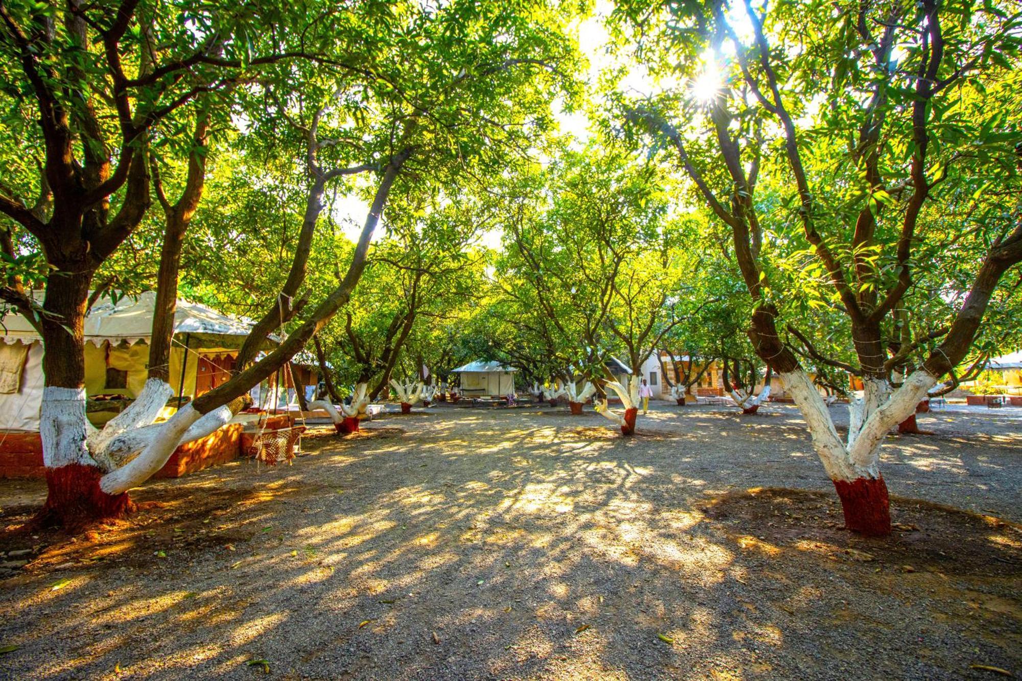 Brook Ville Sasan Gir Εξωτερικό φωτογραφία