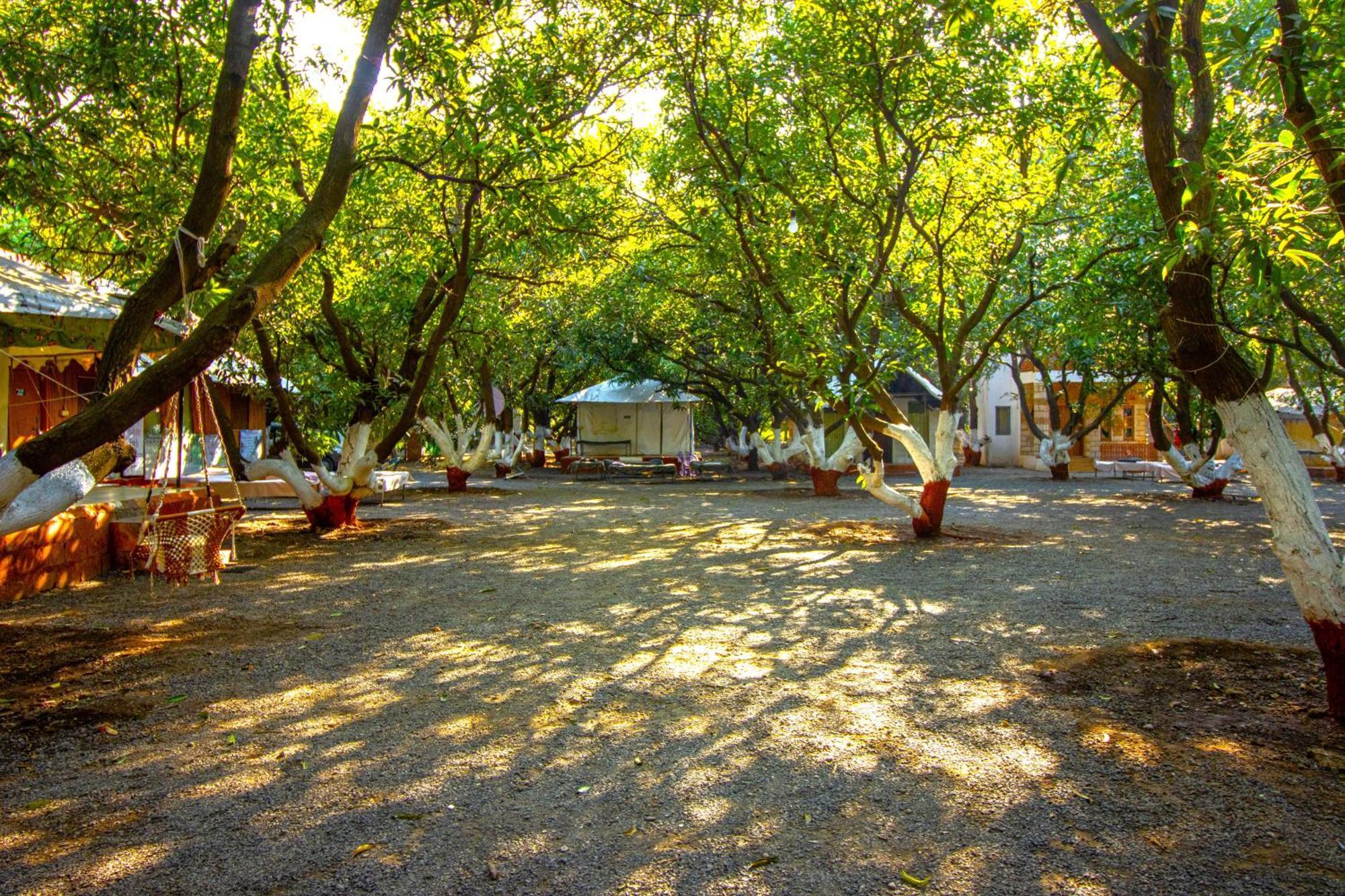 Brook Ville Sasan Gir Εξωτερικό φωτογραφία