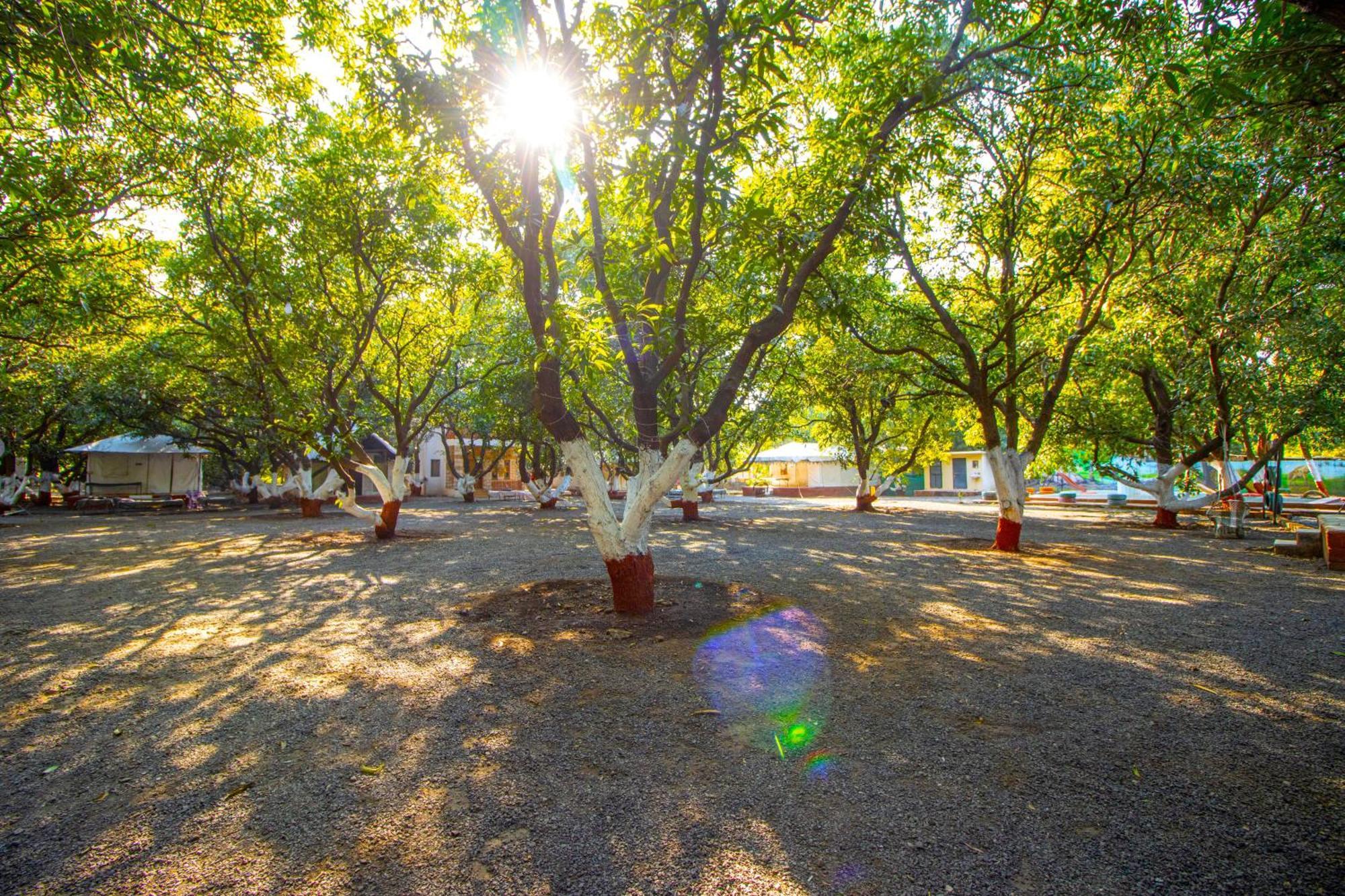 Brook Ville Sasan Gir Εξωτερικό φωτογραφία
