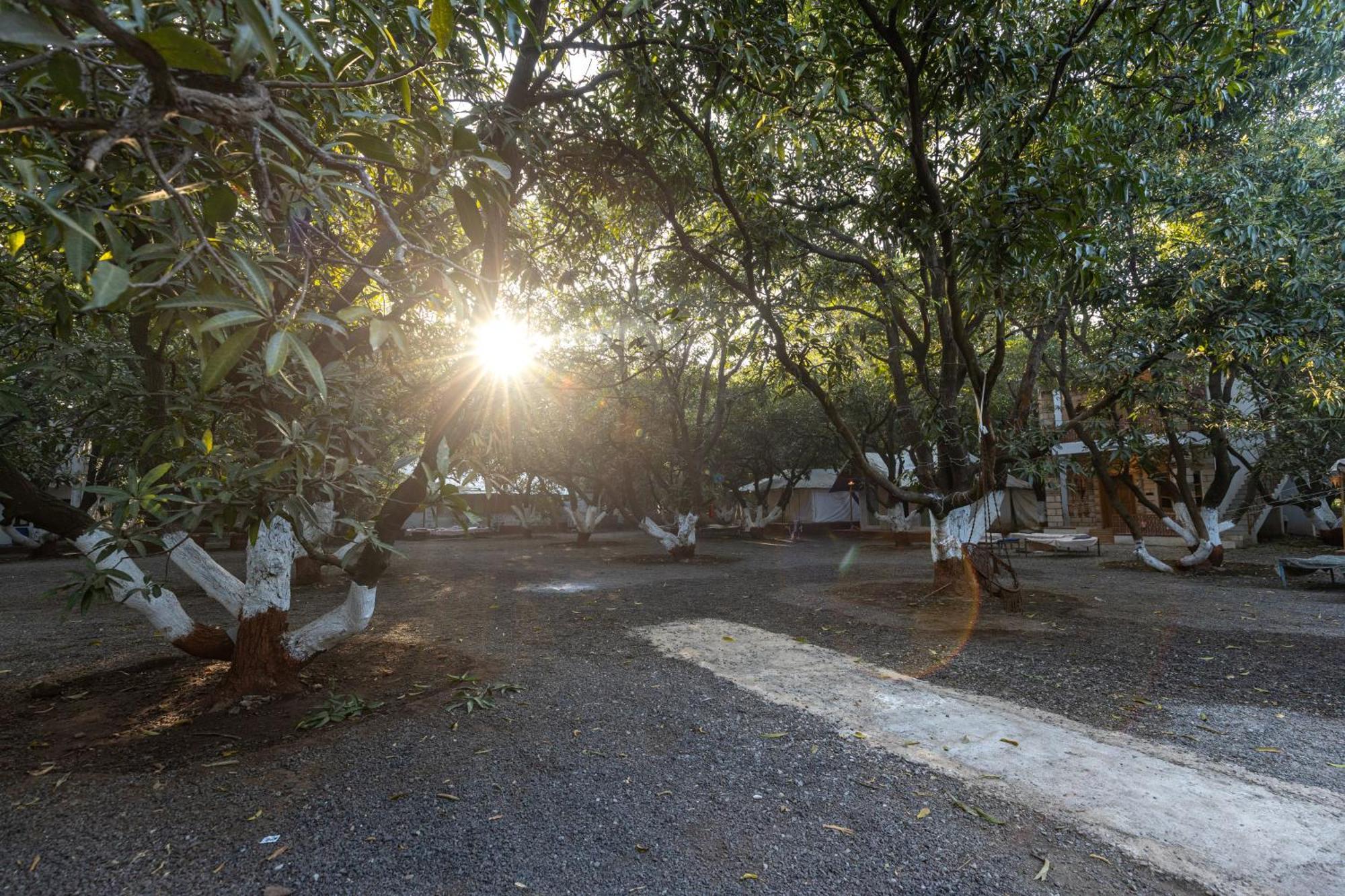 Brook Ville Sasan Gir Εξωτερικό φωτογραφία