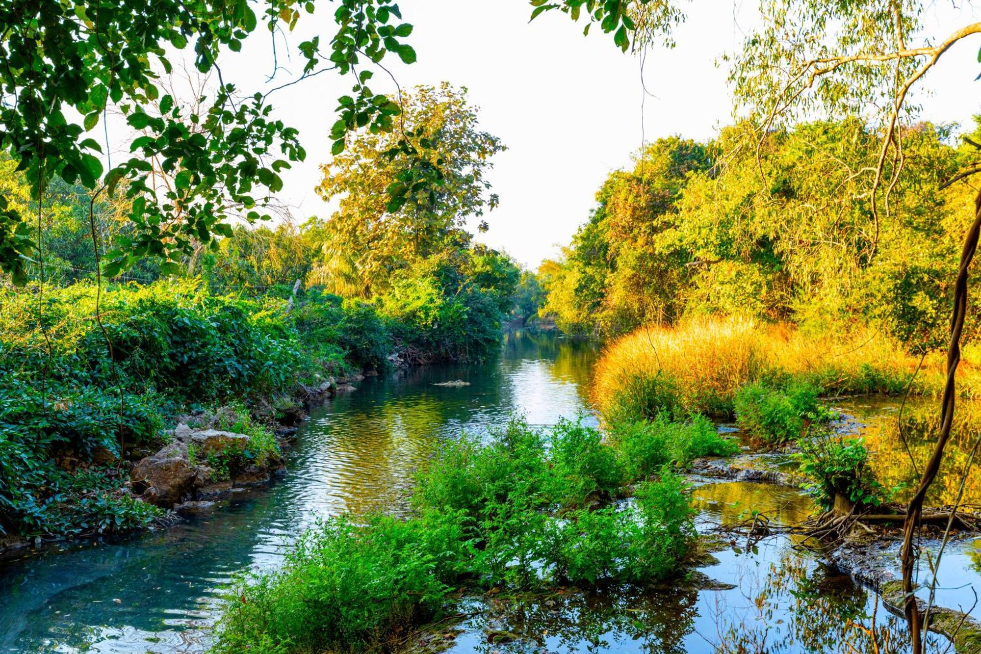 Brook Ville Sasan Gir Εξωτερικό φωτογραφία