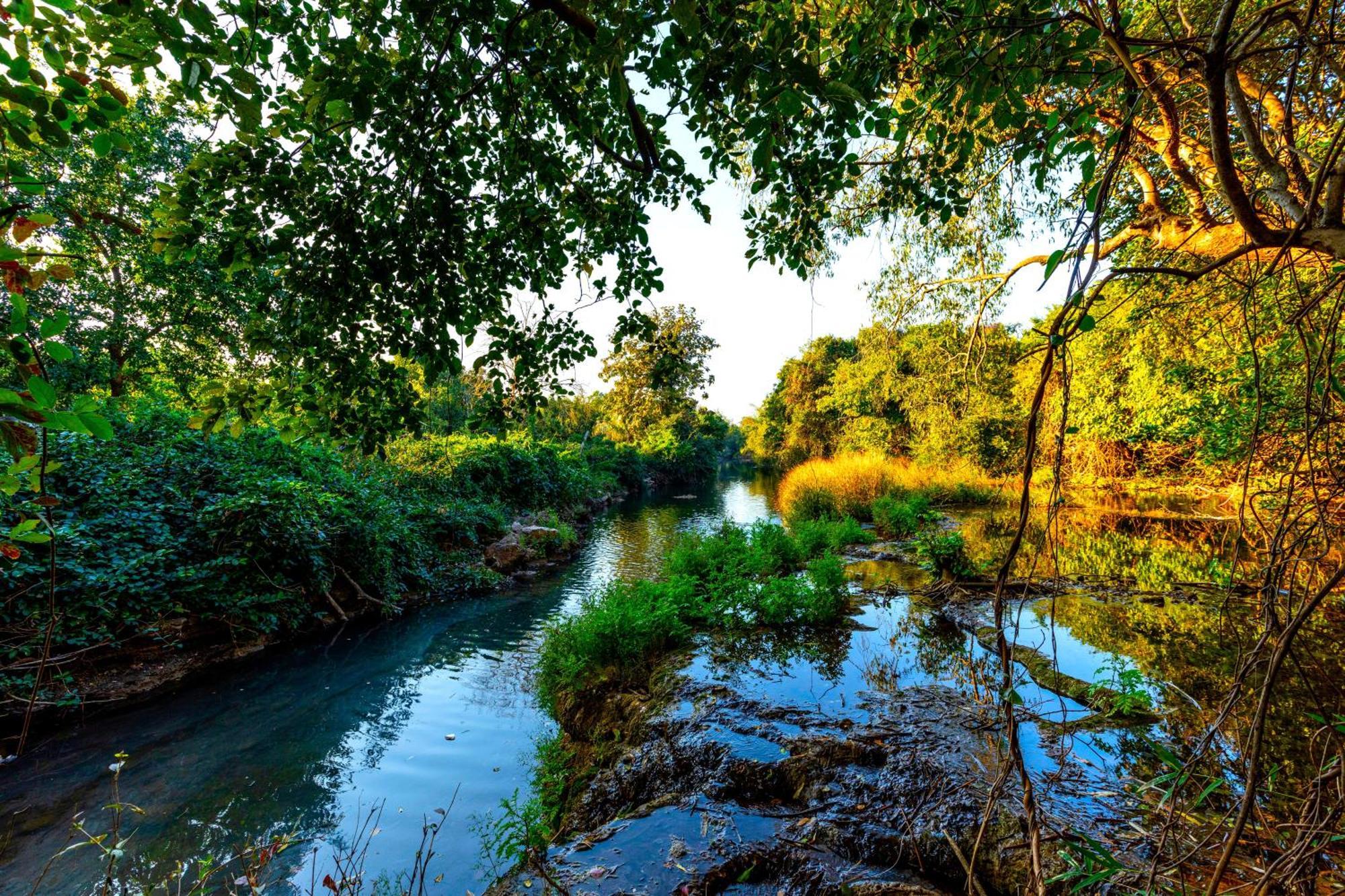 Brook Ville Sasan Gir Εξωτερικό φωτογραφία