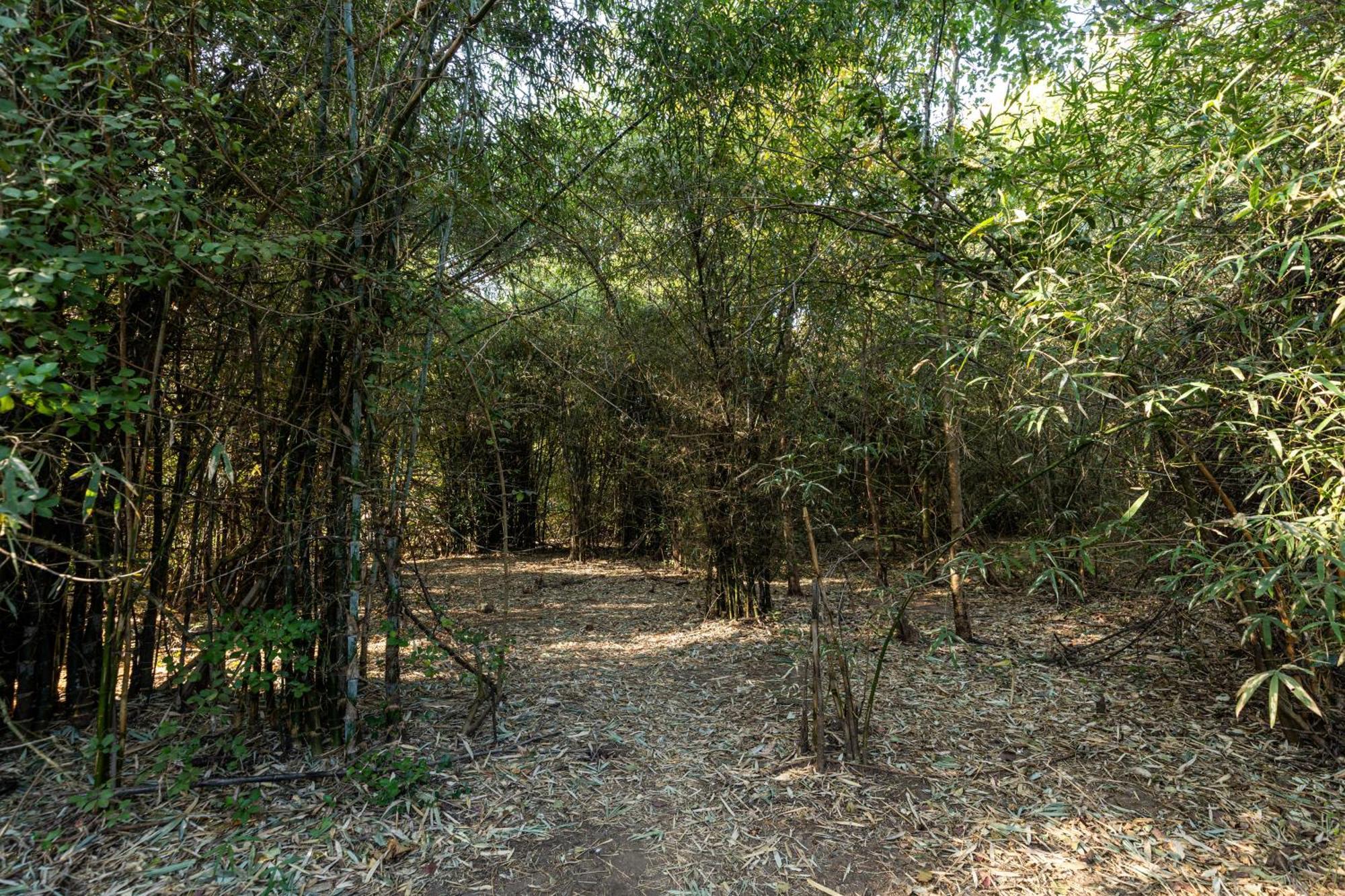 Brook Ville Sasan Gir Εξωτερικό φωτογραφία