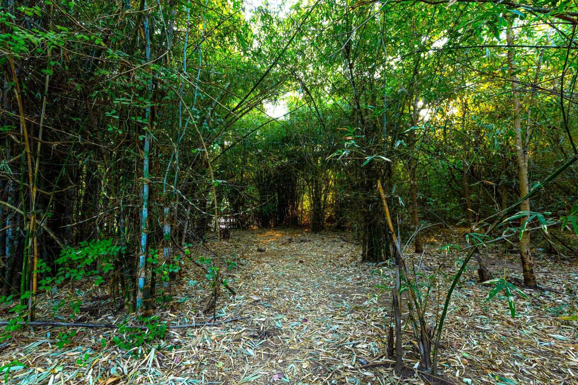 Brook Ville Sasan Gir Εξωτερικό φωτογραφία